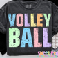 VOLLEYBALL