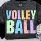 VOLLEYBALL